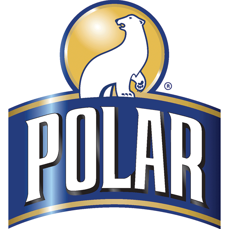 Polar Web Logo 
